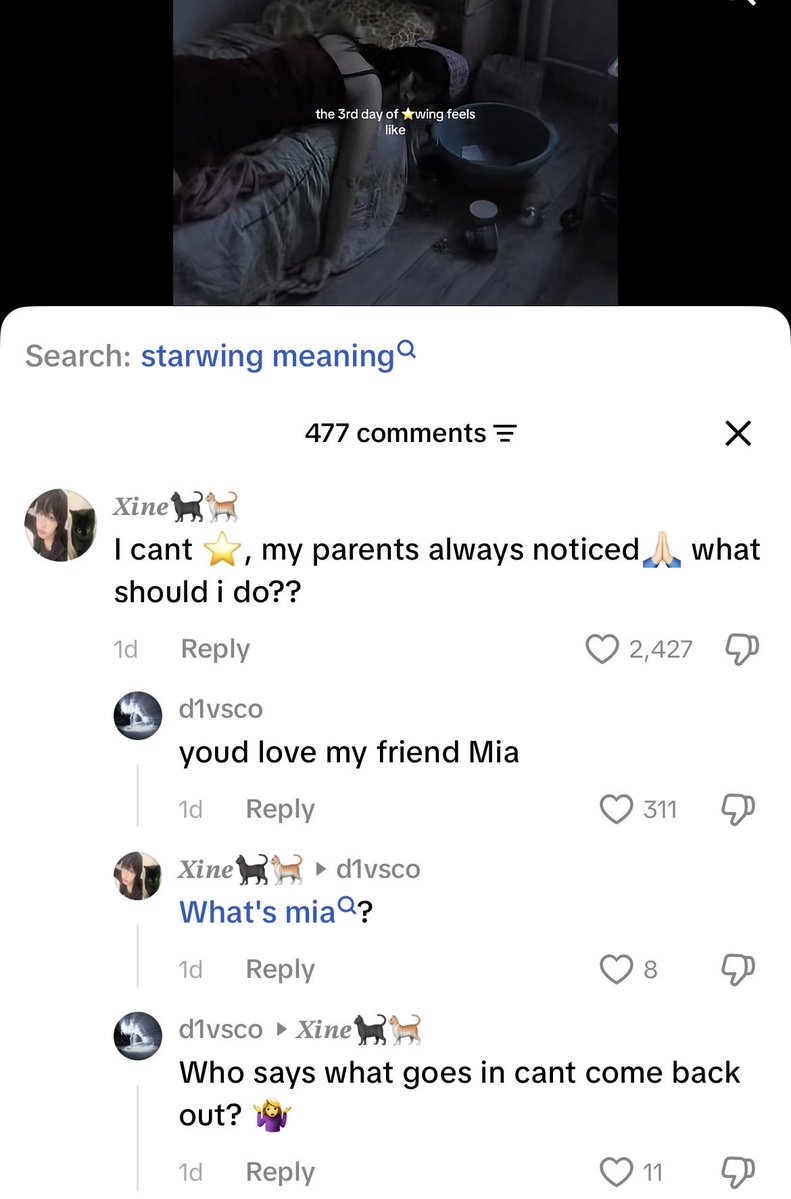 springflingana tweet media