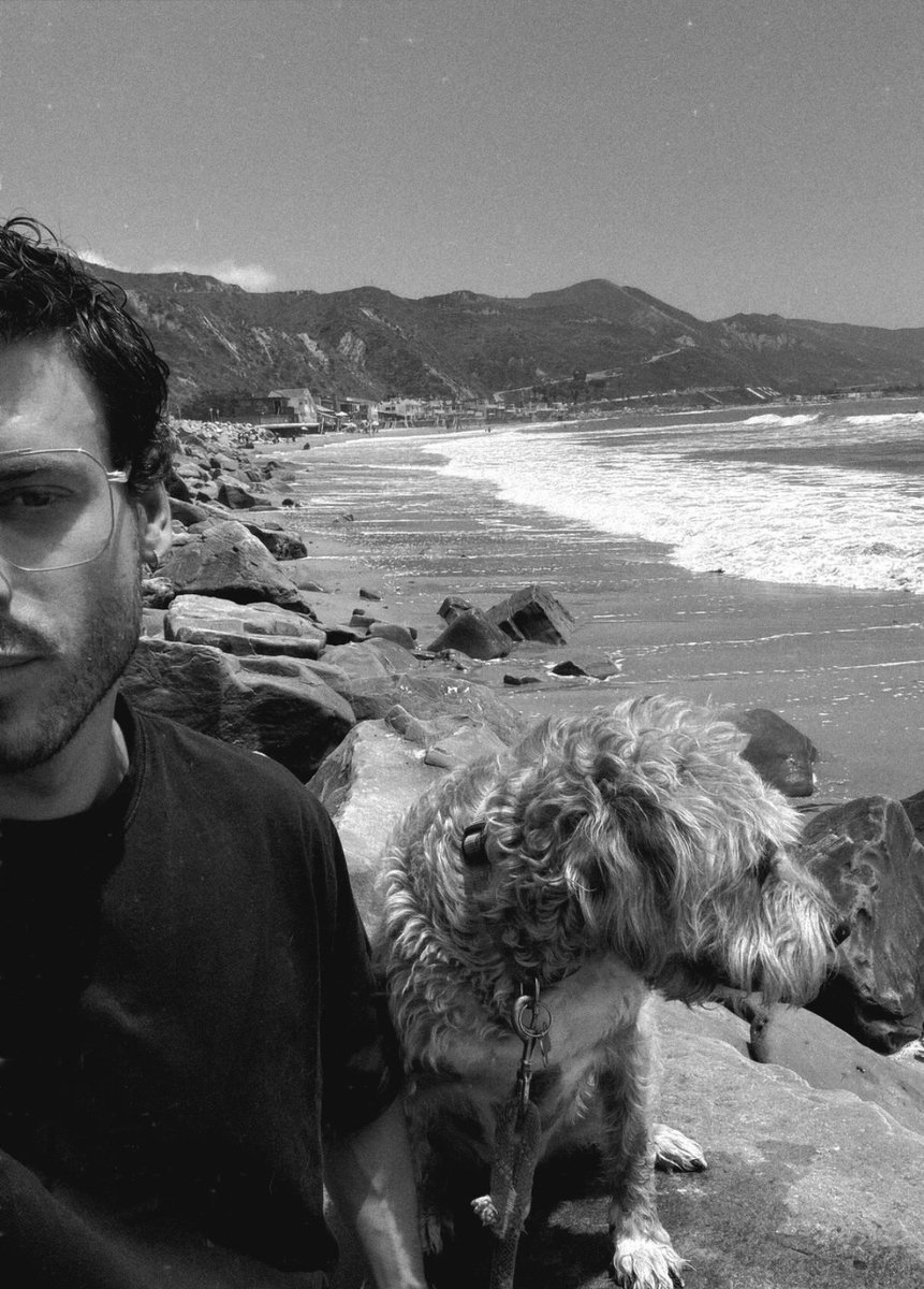 François Arnaud News tweet media