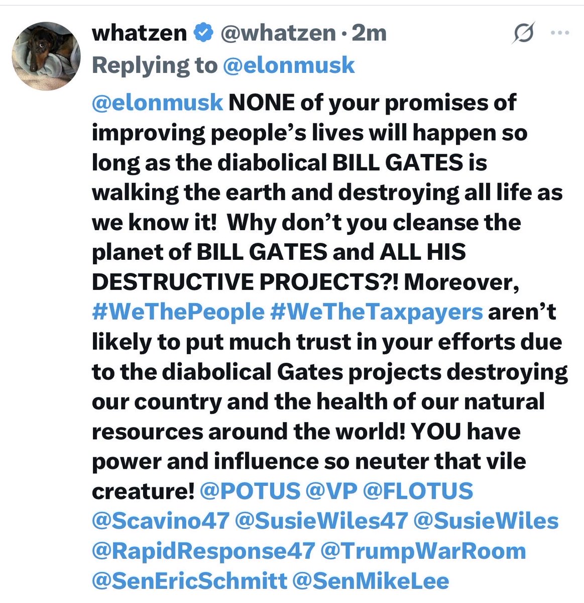 whatzen tweet media