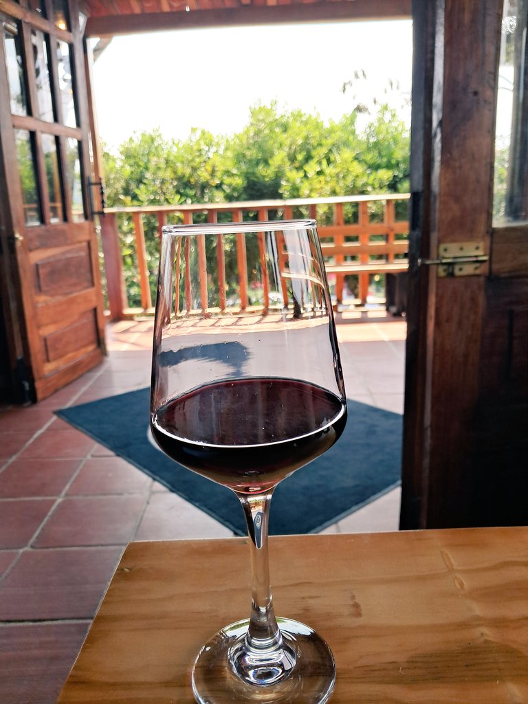 LunaDeMayo_S's tweet photo. #CasaCampo #AfterWork ✨
#WineNot 🍇 https://t.co/0F2WQyM7Od