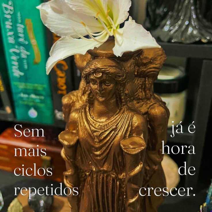 Lois taróloga tweet media