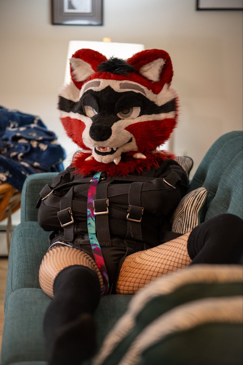 TheRaccAD's tweet photo. Such a vulnerable racc…

📸 - @ZETH_AD https://t.co/eIhNBqh0kD