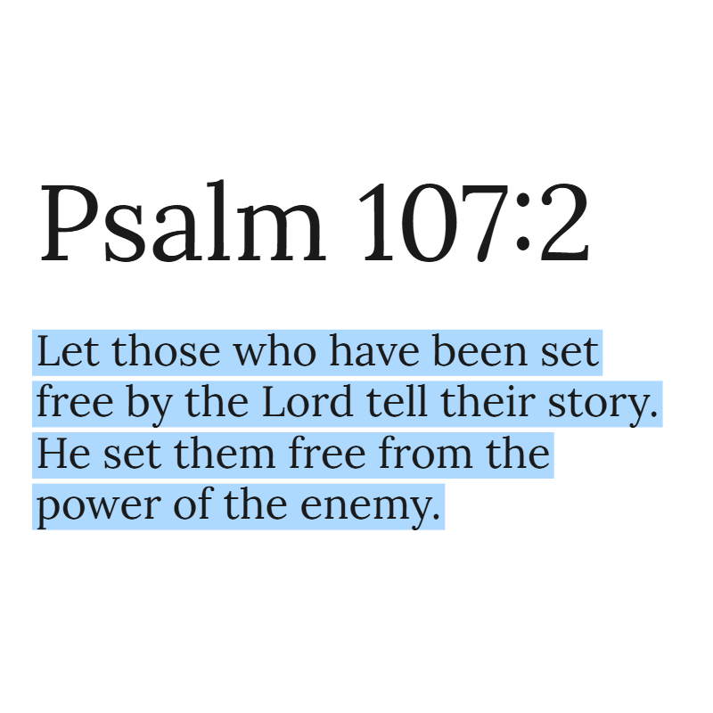 Holy Bible tweet media