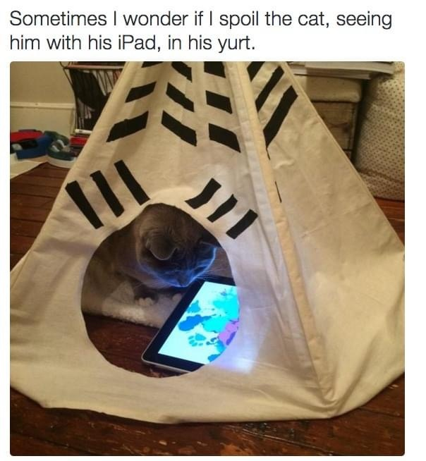 WholesomeMemes tweet media