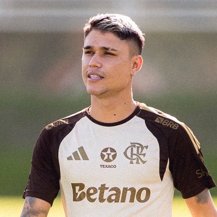 Leo José tweet media