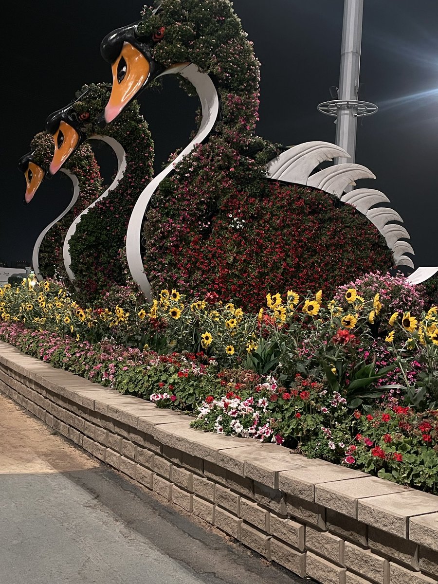 بشاير🍊 tweet media