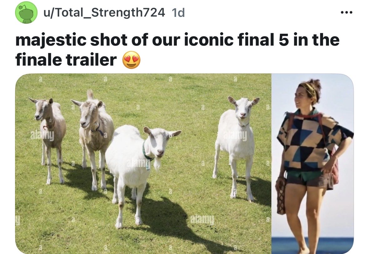Big Brother Tea tweet media