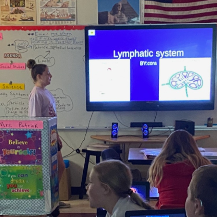 BTMS_Tigers's tweet photo. Students in Mrs. Patrick’s class were assigned a body system to research and present to their classmates through Google Slides. https://t.co/VVjT4lxons