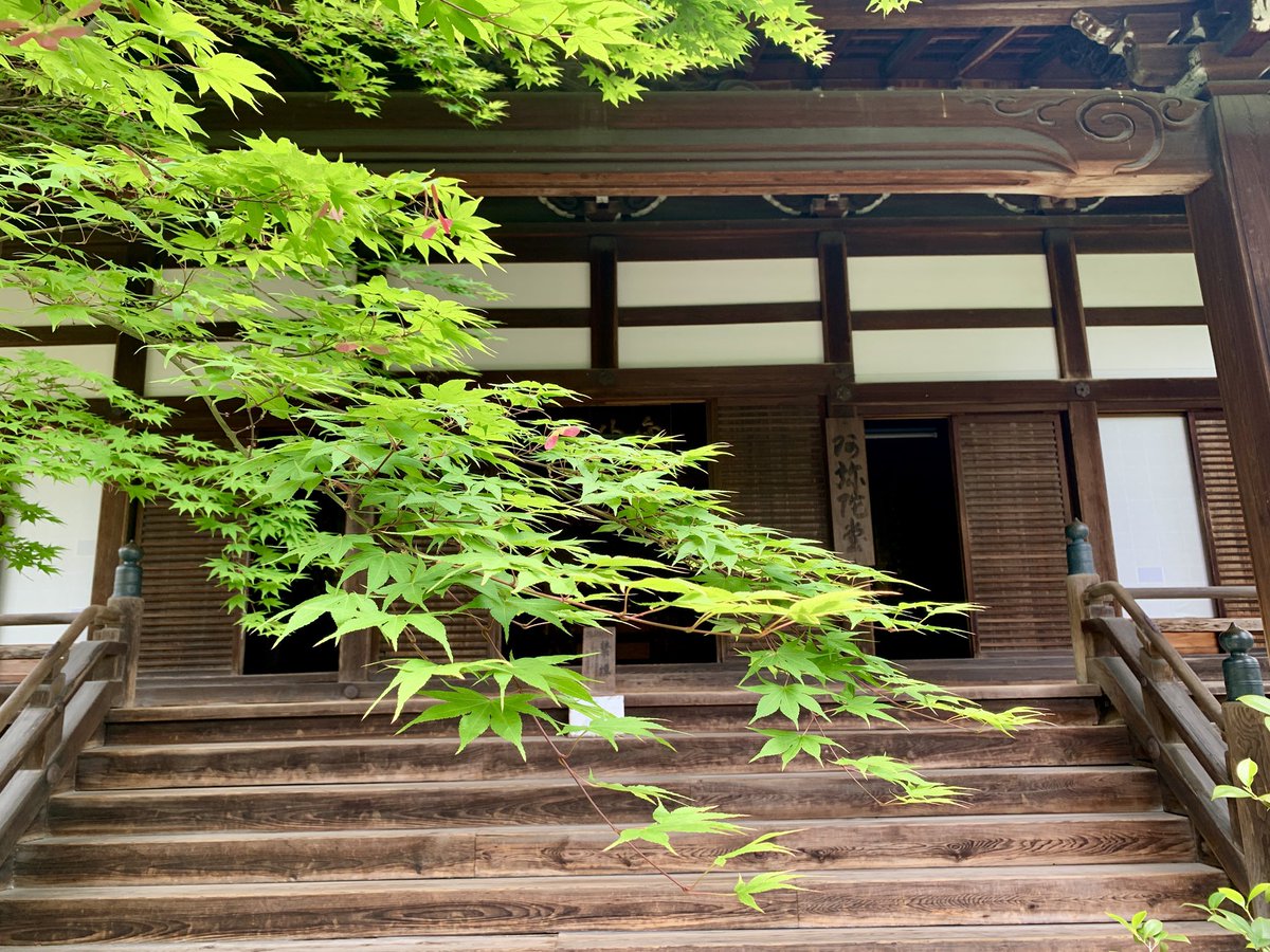 京たび tweet media