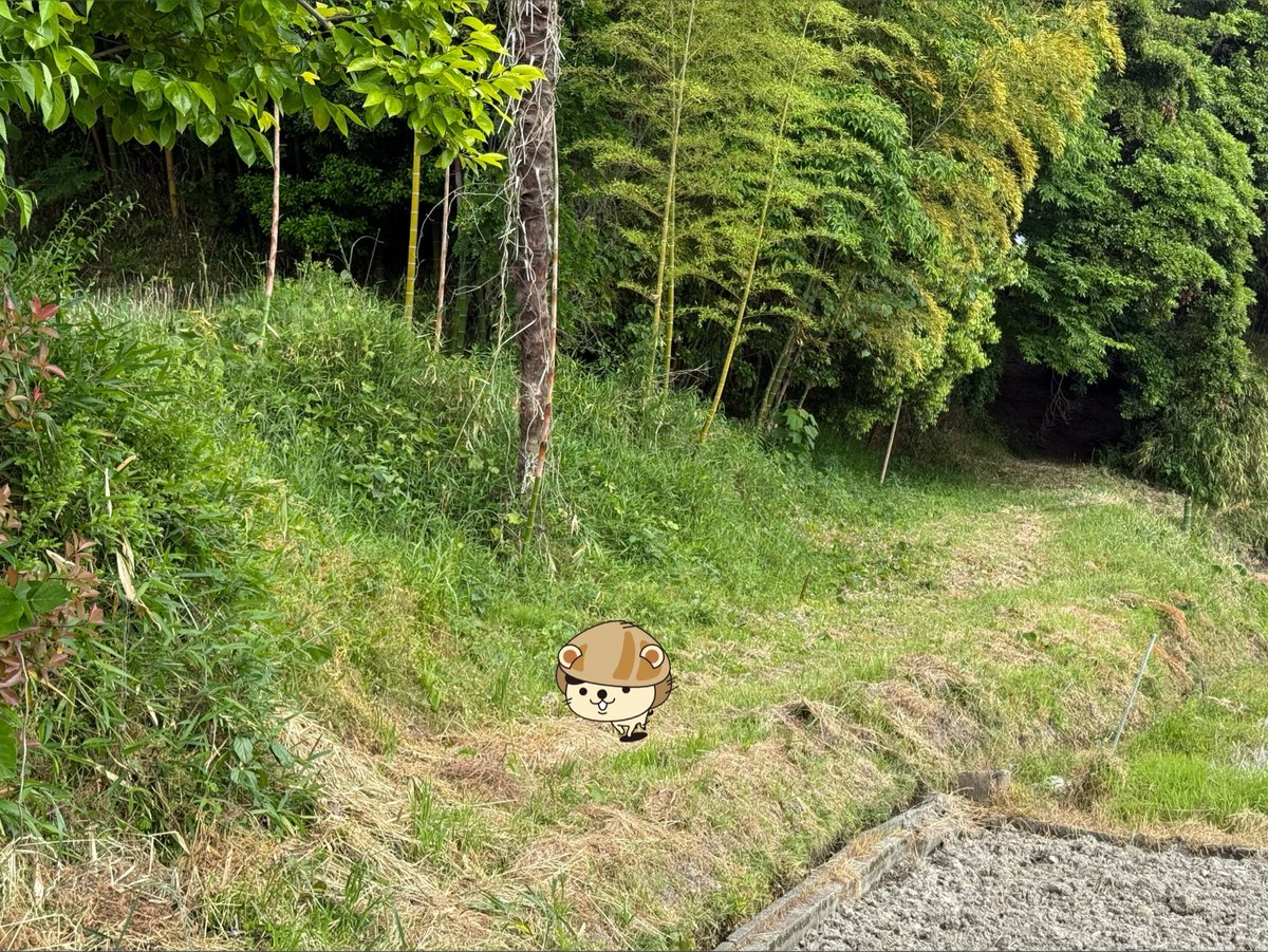はまぐり犬 tweet media