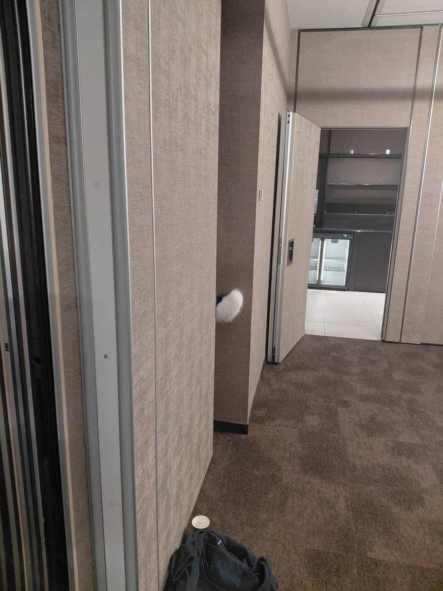 zepperdepep's tweet photo. Playing hide and seek with this twink and he doesn't even realize I can see his tail 😭🙄 https://t.co/lS4bYIWL4b