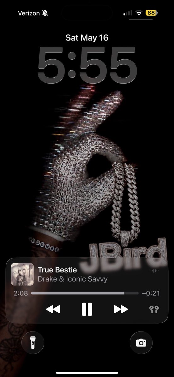 BirdBurner tweet media