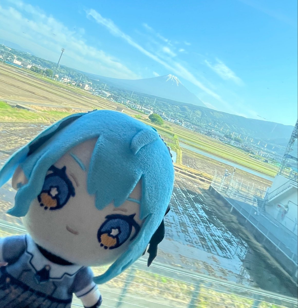 チョンロ　ホログラム チョンロ ホログラム 【公式通販】