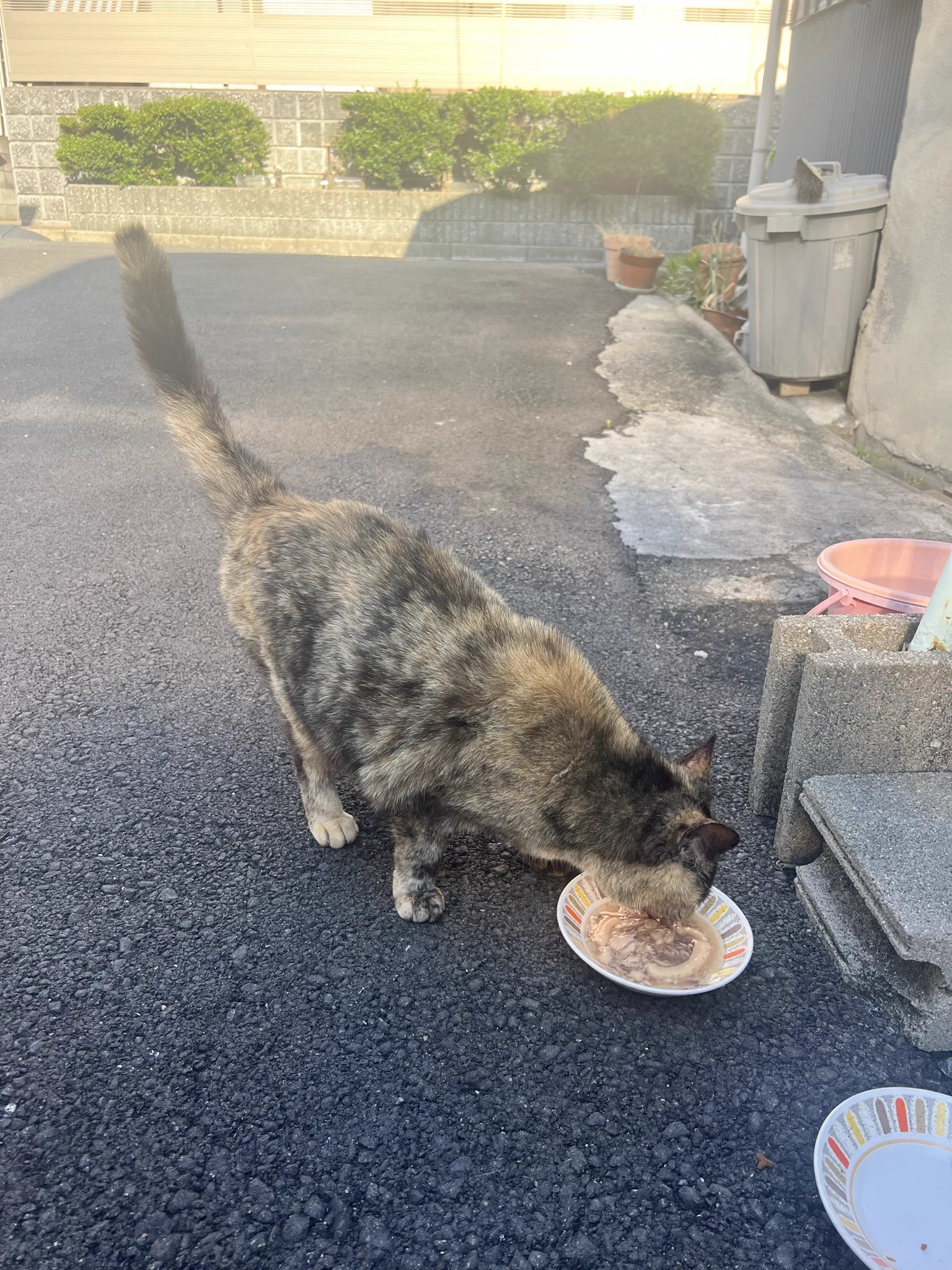 HIeRu_ObwAAJaz7?format=webp&