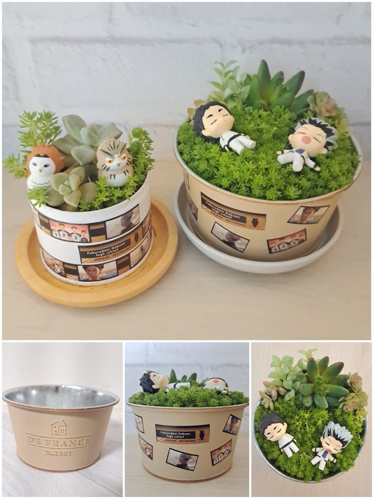 多肉植物の寄せ植え2つ目完成✨️ 今回は造花と生花のミックスで