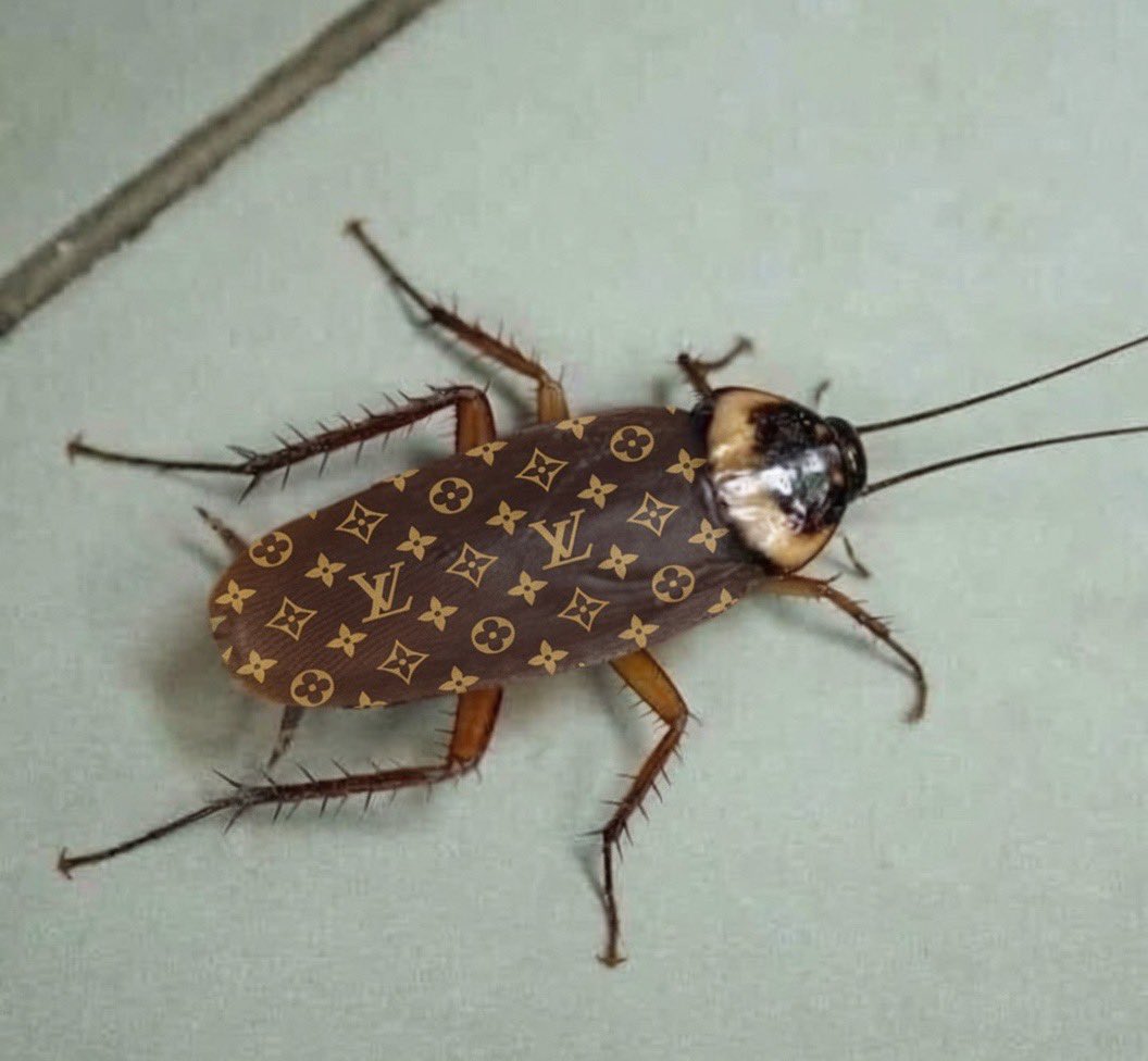 RichardMbayo's tweet photo. Intel shows that this planned cockroach 🪳 was found at Anitamana Annet Among https://t.co/JpCLf8PJOl