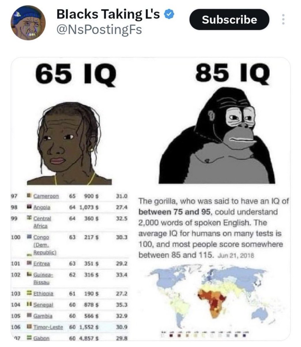 Tara tweet media