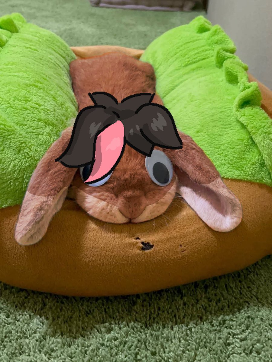 Cole Buns tweet media