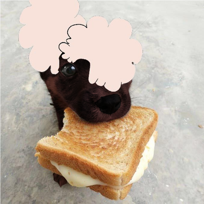 Cole Buns tweet media