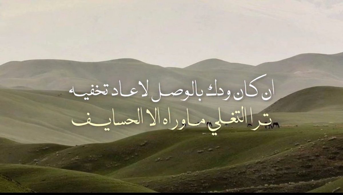 دعسوقه🐞 tweet media