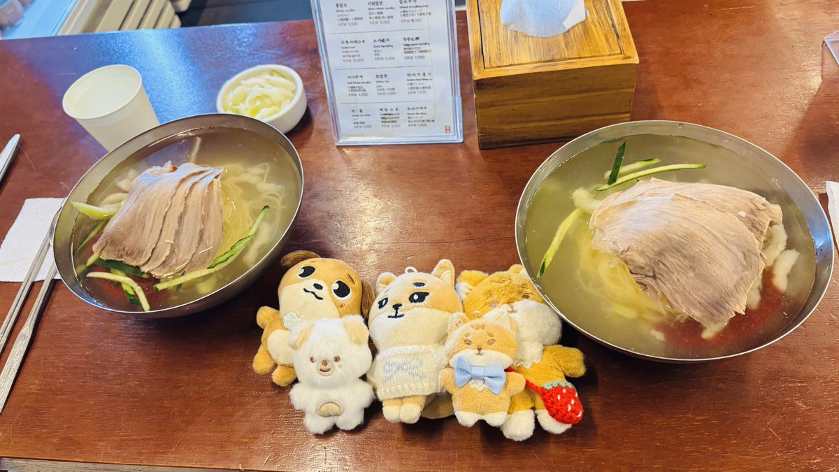 하루┊ハル tweet media