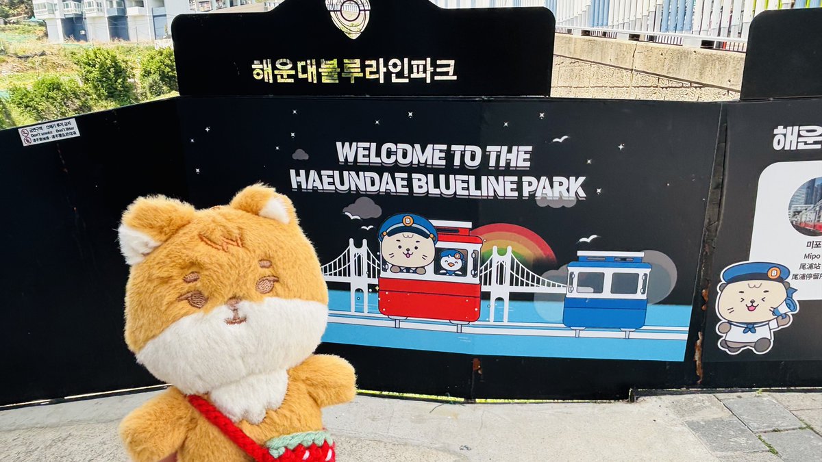 하루┊ハル tweet media