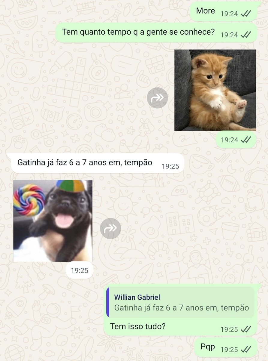 alícia🪷 tweet media