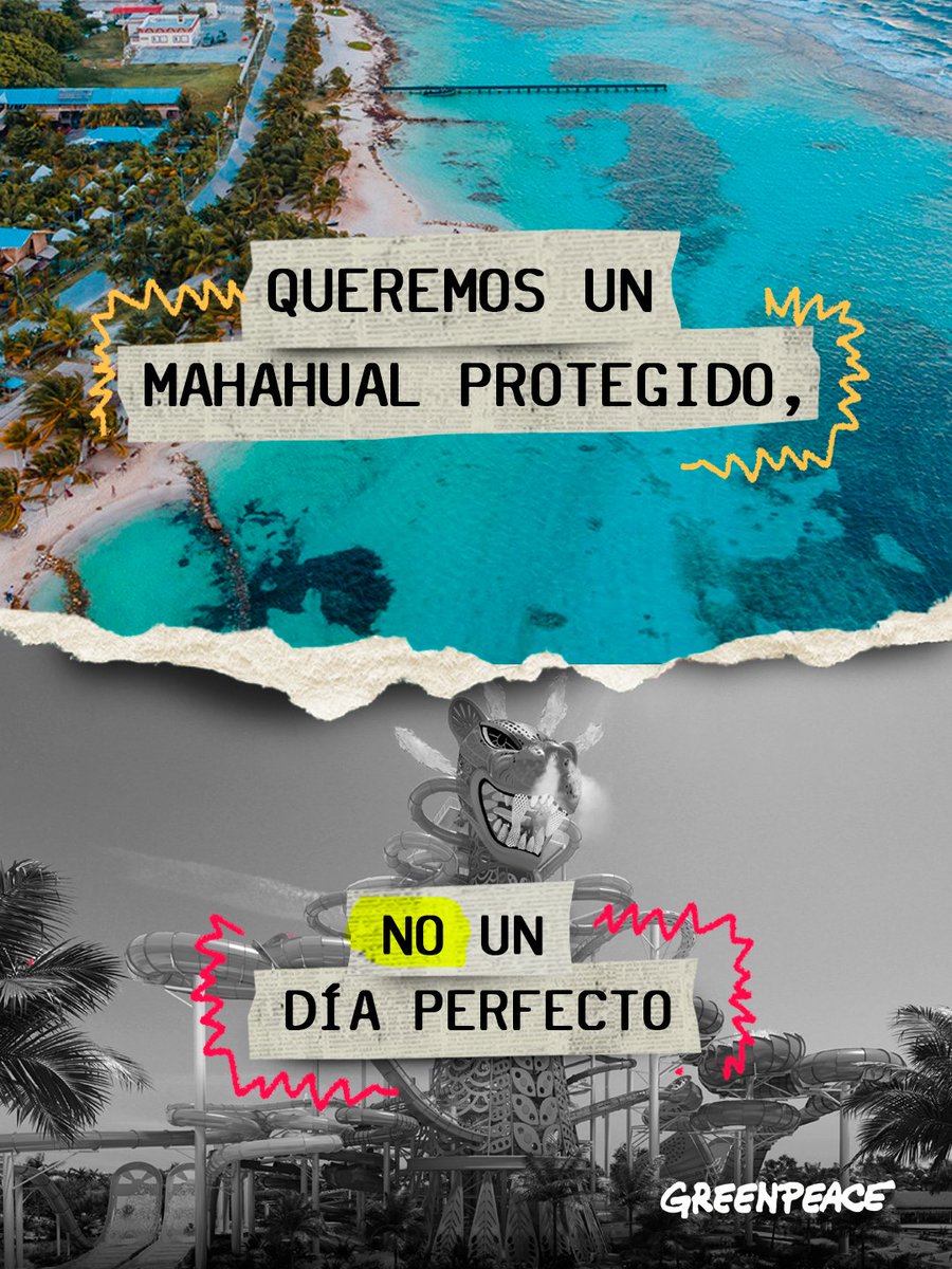 Greenpeace México tweet media