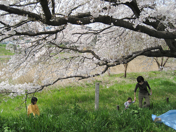 satoshi550807's tweet photo. キヤノンの IXY DIGITAL 70 で 2007年に撮影したものです(３枚目は再掲)。
IXY DIGITAL 70 ⇒ https://t.co/fu356s5Zit https://t.co/2nEsmwVK5f