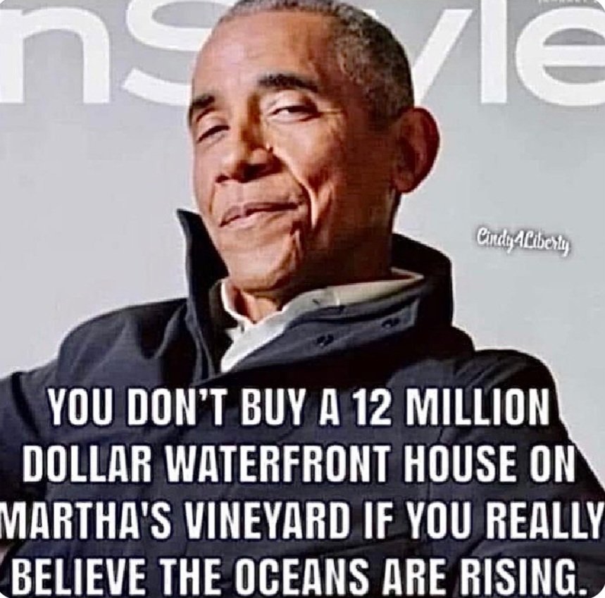 Biden'smissingbrain tweet media
