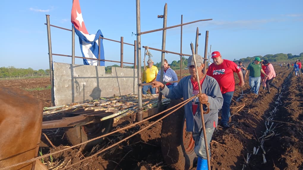 Félix Duartes Ortega tweet media