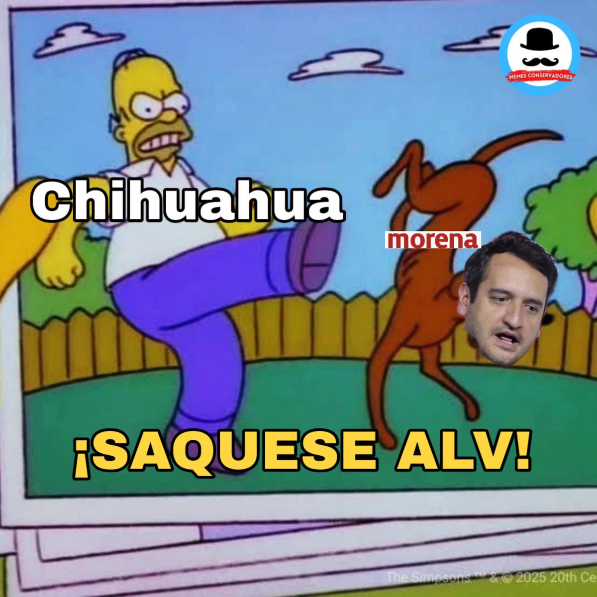 Memes__Conservadores tweet media