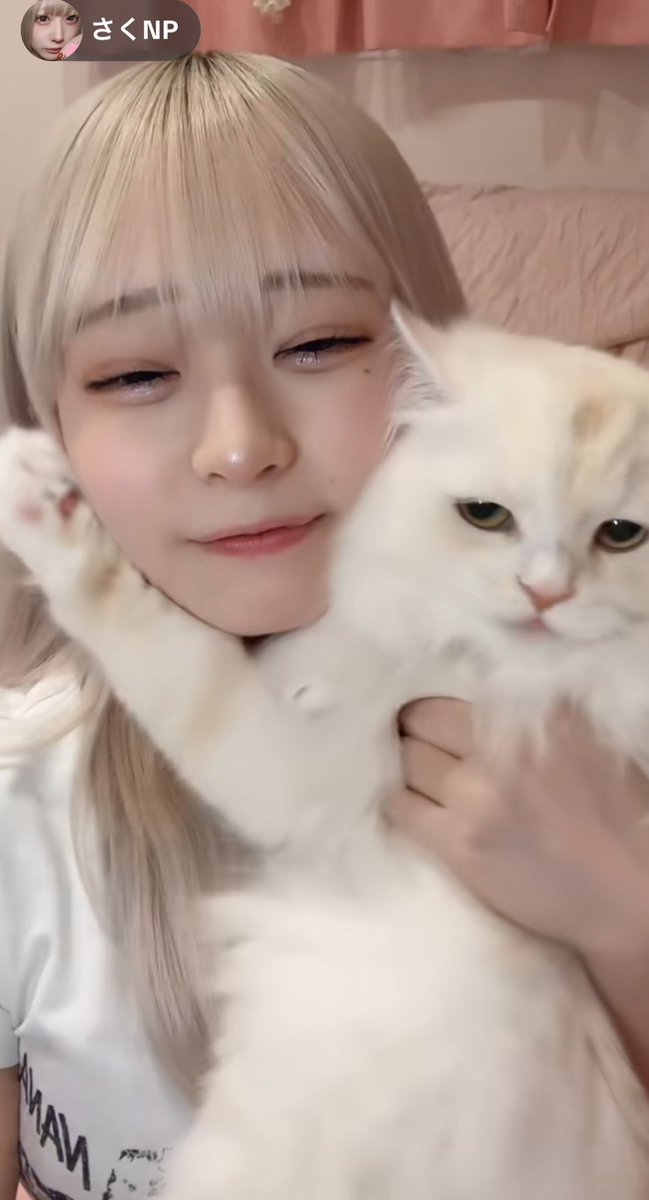 pika2chopa's tweet photo. 本日のさくんぽtiktok liveハイライト

ランプくん「見ろよ。オレのさくちゃん可愛いだろ？」  

#さくんポスト https://t.co/uOnf1l1m3N