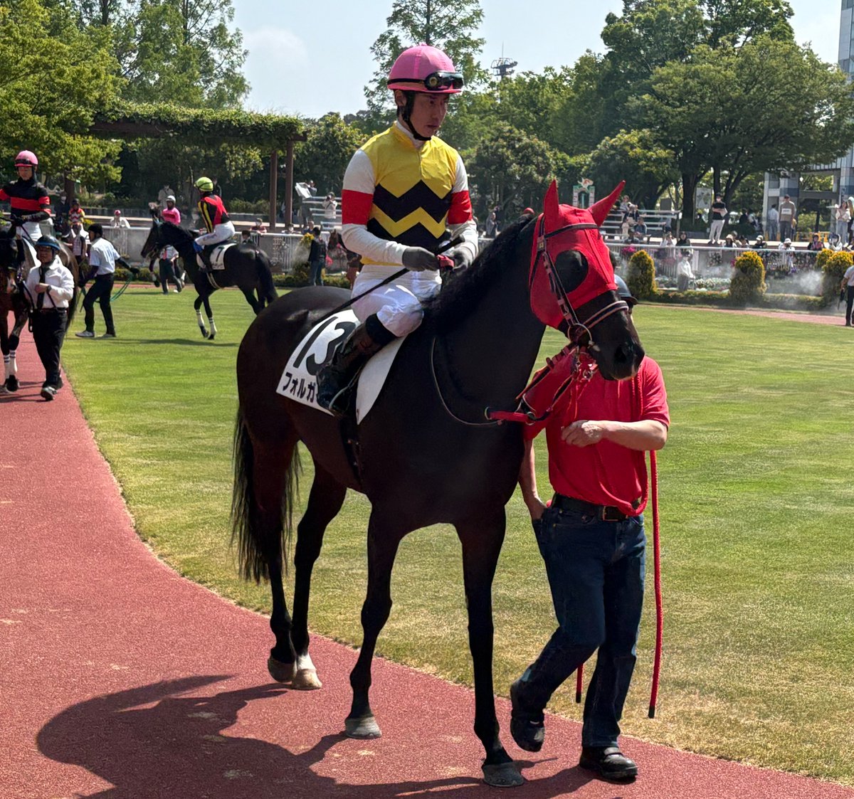 tclion_east's tweet photo. フォルガイルです！
金子騎手とのコンビで、4着と頑張ってくれました🐴✨
いつも堅実に走ってくれて、本当に頭が下がります🙏 https://t.co/boXw7NaGFu