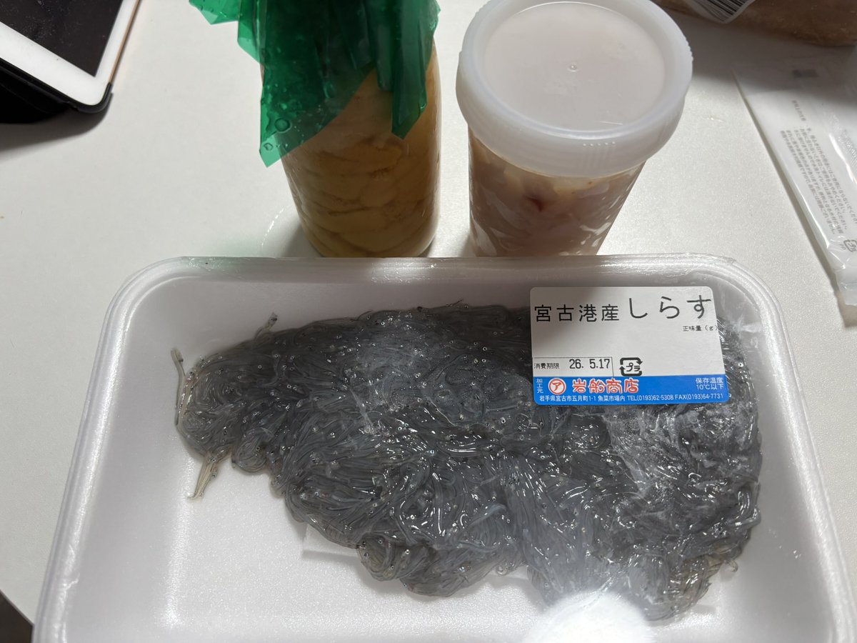ねふ.🐟 tweet media