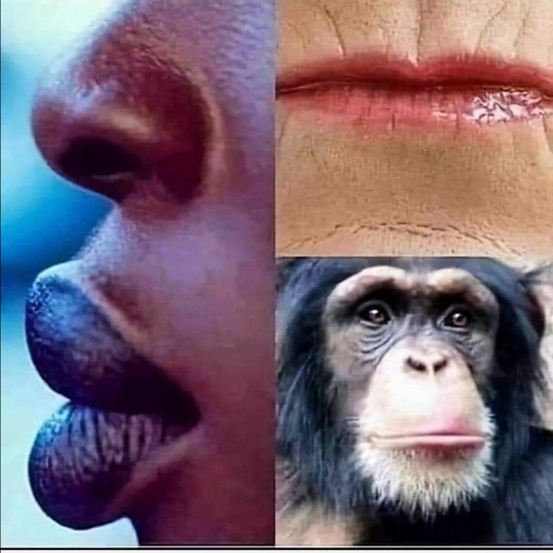 Xhosa Nostra🇿🇦 tweet media