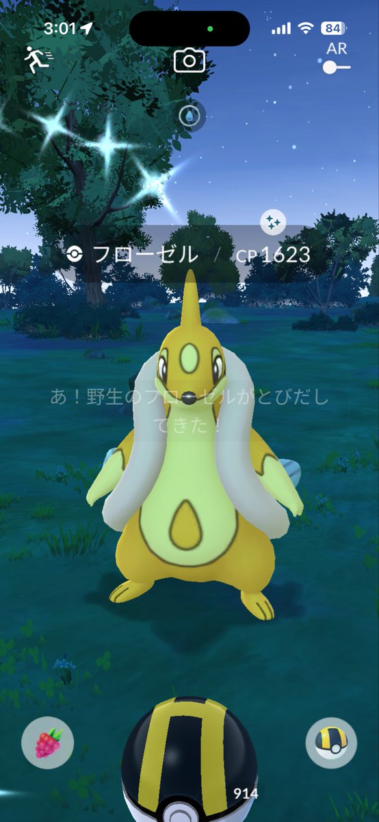 ゆぅ〜⭐︎ぺんぎん tweet media