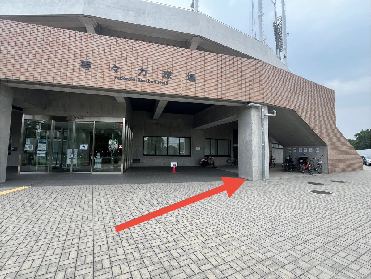 🏟️⚾️YUKI🐟NECO.⚾️🏟️ tweet media