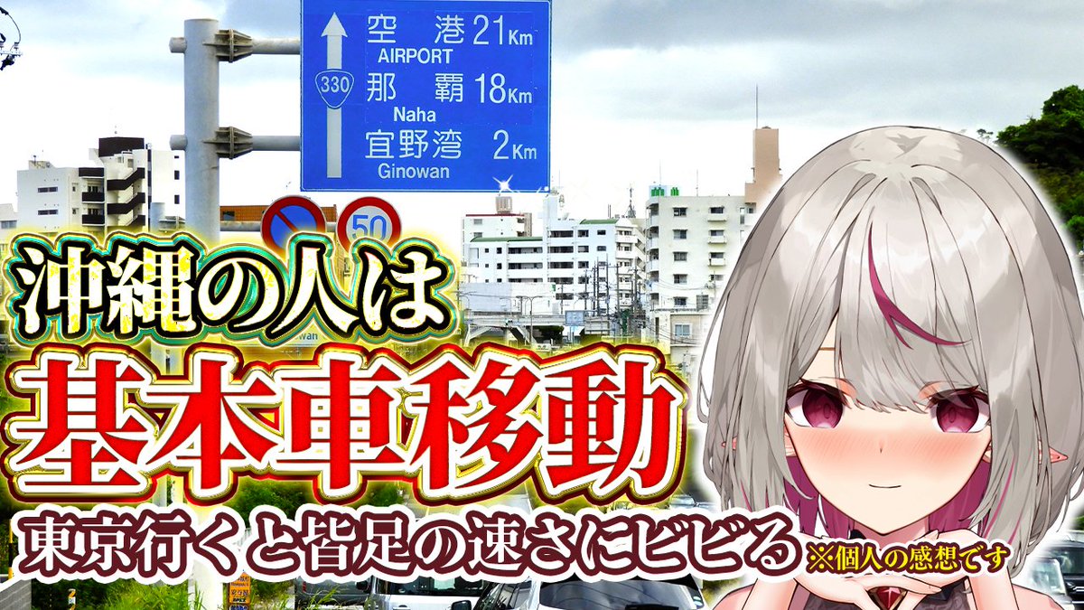 天癒るりは🍀︎🕊沖縄担当VTuber🌺 tweet media