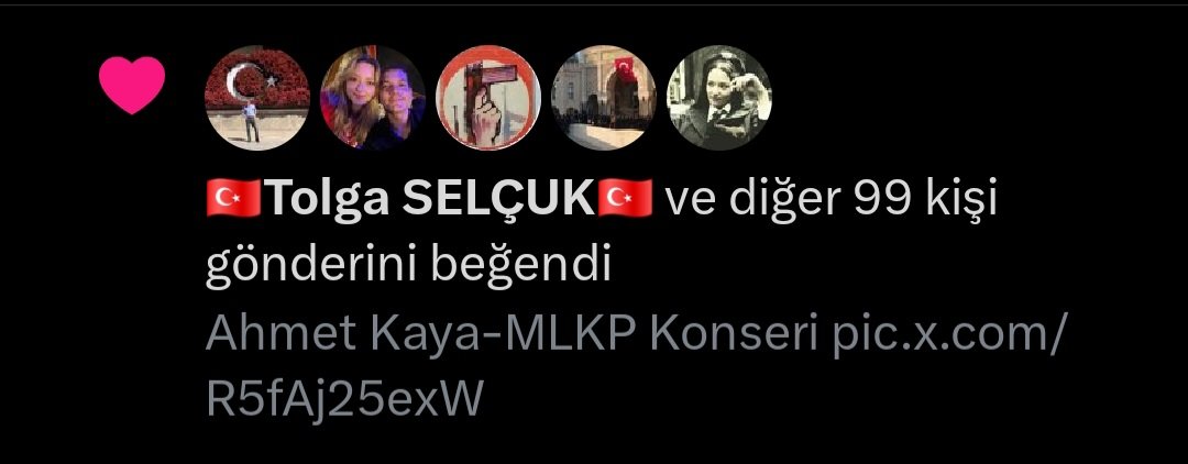 Acılara Tutunamayan Kanadı Kırık Sultan Papağanı tweet media
