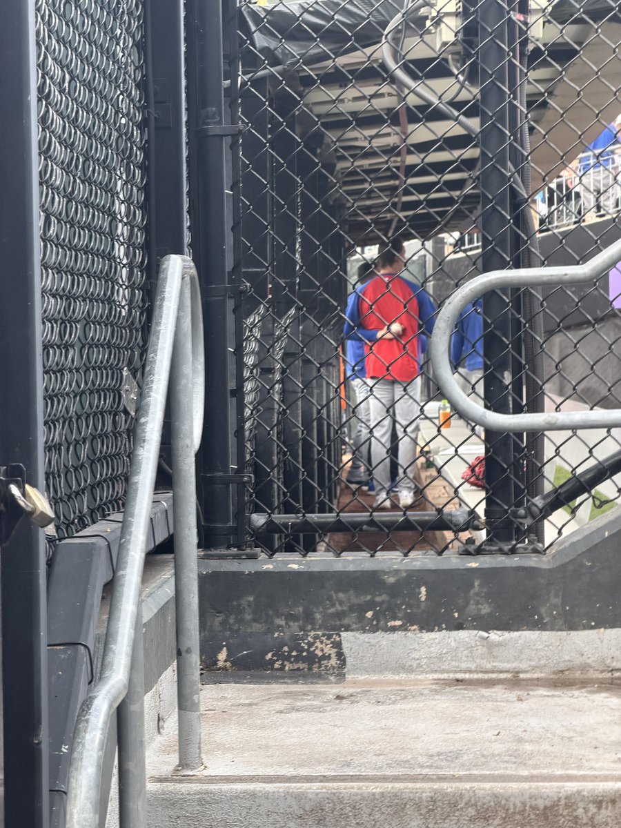 Ann (Conforto Fan Club) tweet media