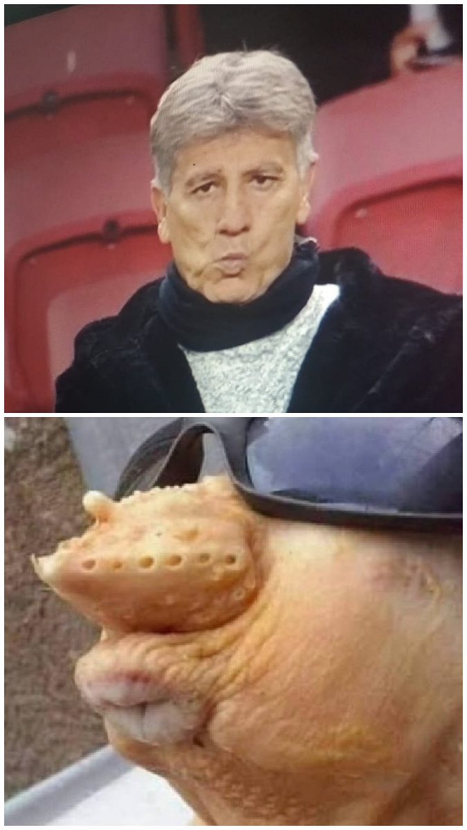 maicochini's tweet photo. VAMO VAMO INTER 🇦🇹🇦🇹🇦🇹🇦🇹
hahahahahahaaaa...
Isso aqui é sensacional https://t.co/ckfvFAAVpn