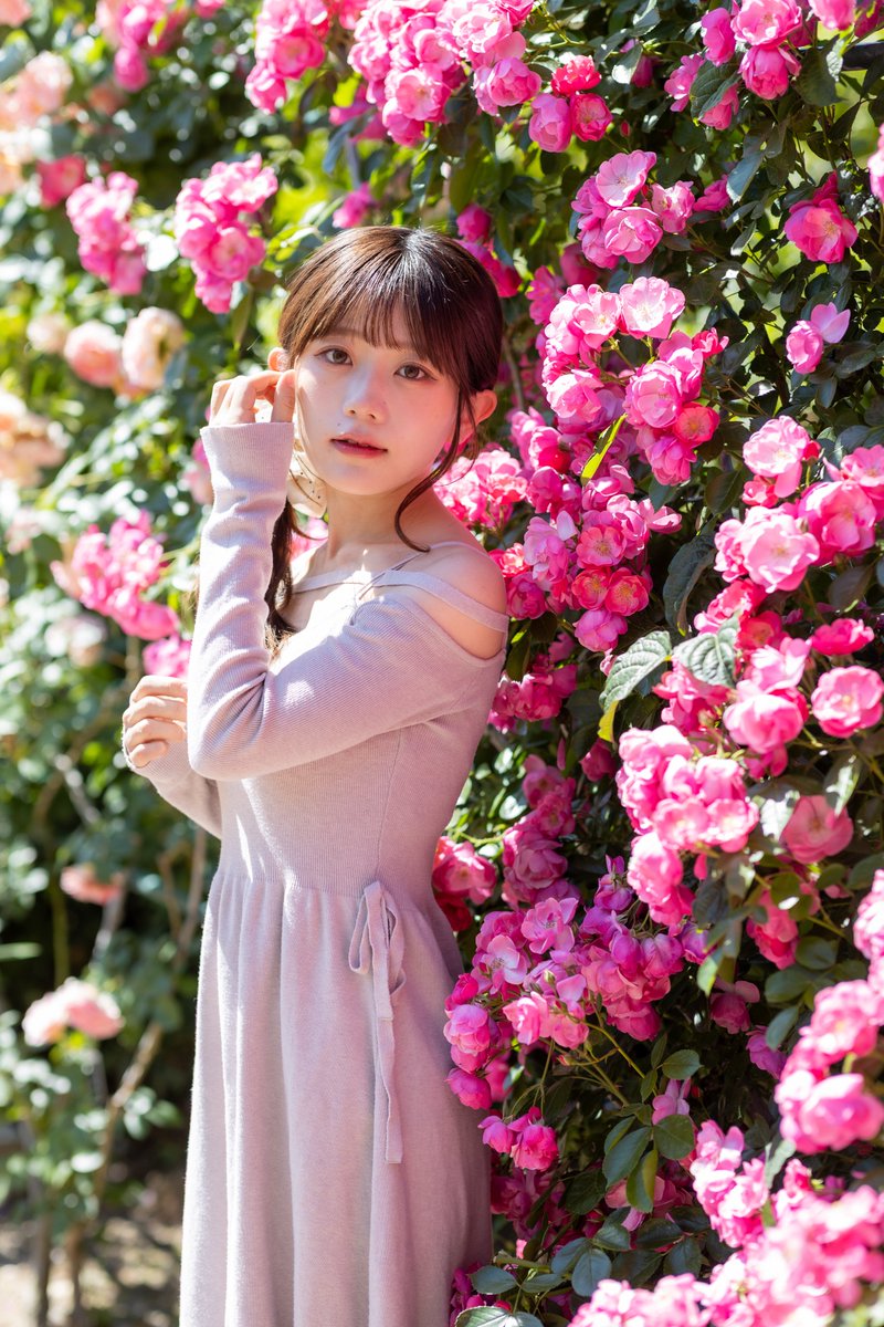 こもれびもかさん @mocatankomorebi #ある33photo