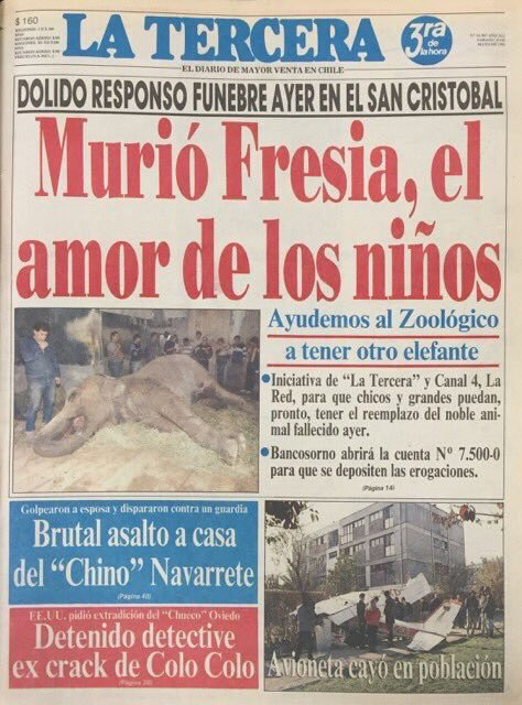 Alejandro Alegria 🌴 tweet media