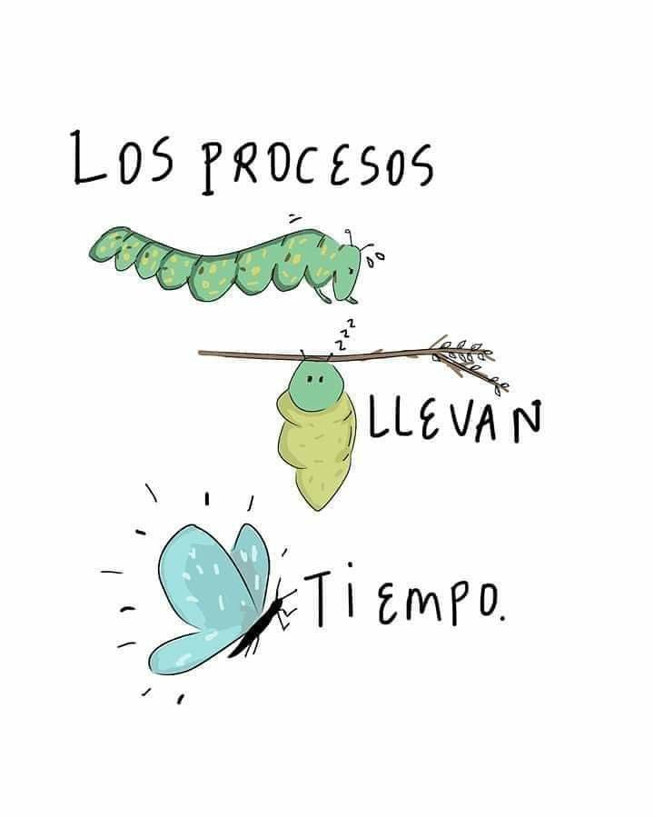 EspacioNoticias's tweet photo. https://t.co/fVPm5wEmzf
