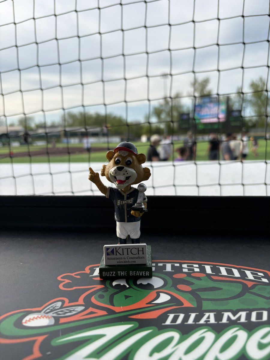 Tigers Enthusiast tweet media