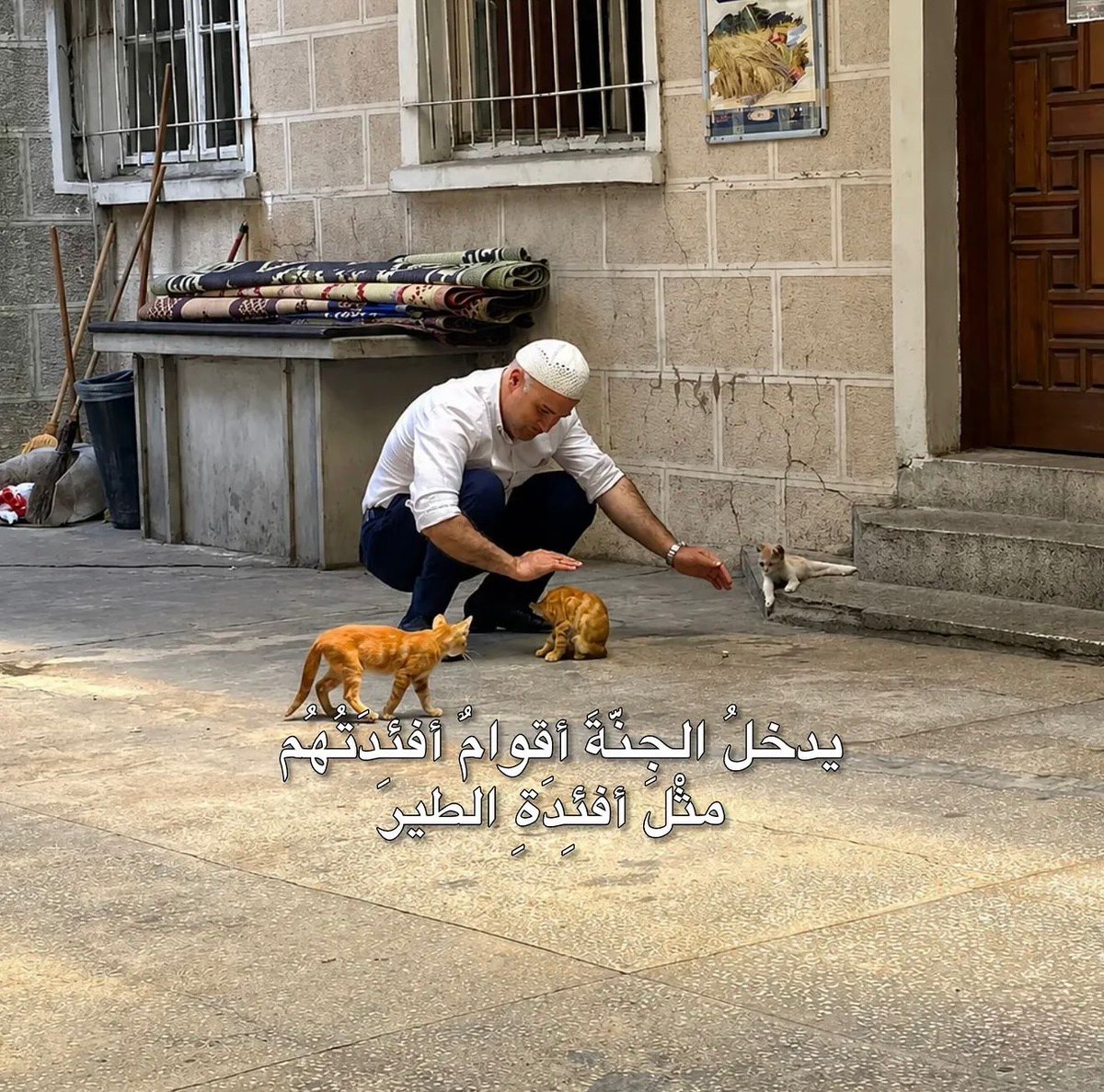 فــذكِّر tweet media