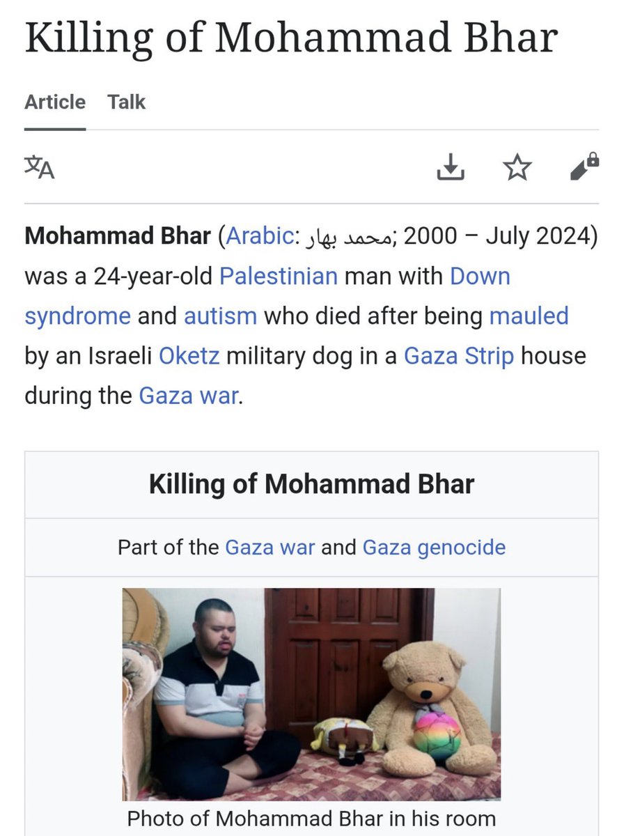 hilal 🐝 tweet media