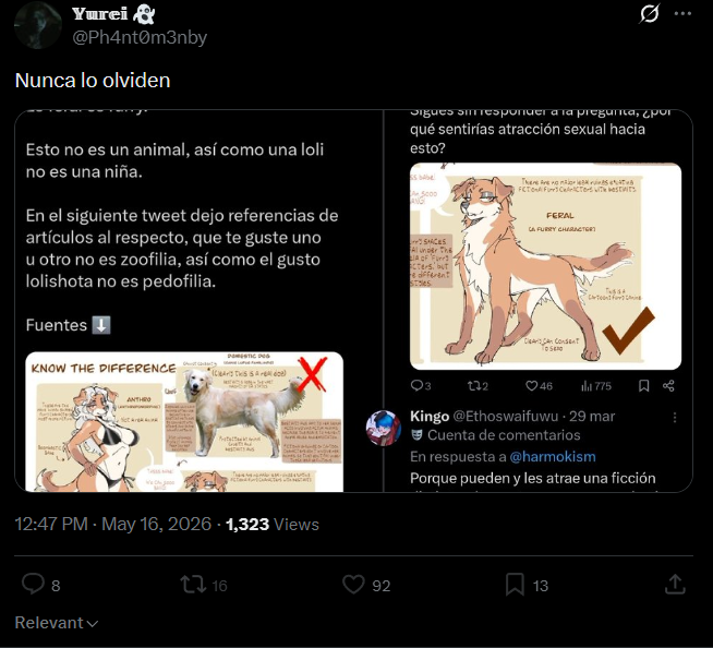 Kingo tweet media