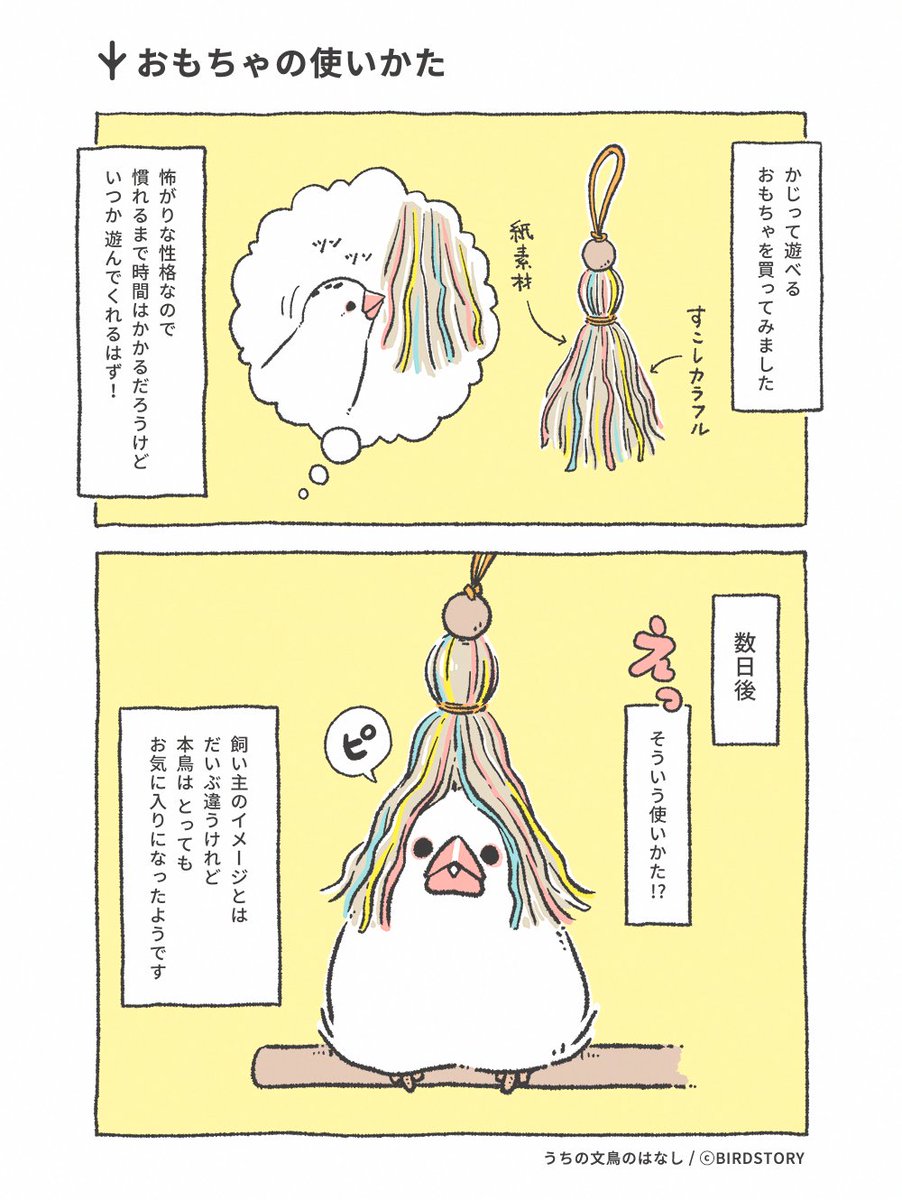 BIRDSTORY tweet media